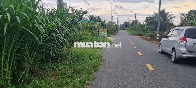 Mình cần bán đất Mặt tiền đường 9m , Tân trụ ,Long an