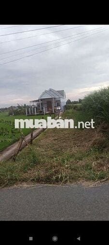 Mình cần bán đất Mặt tiền đường 9m , Tân trụ ,Long an
