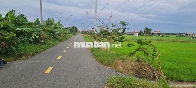 Mình cần bán đất Mặt tiền đường 9m , Tân trụ ,Long an