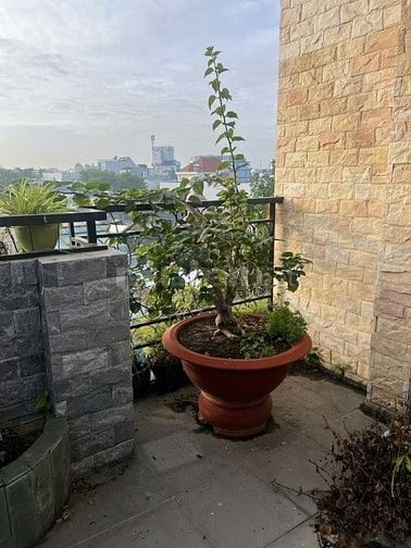 Bán nhà Đường Lê Lợi, Huyện Hóc Môn, DT 6x26m, 3 tầng, 7,5 tỷ