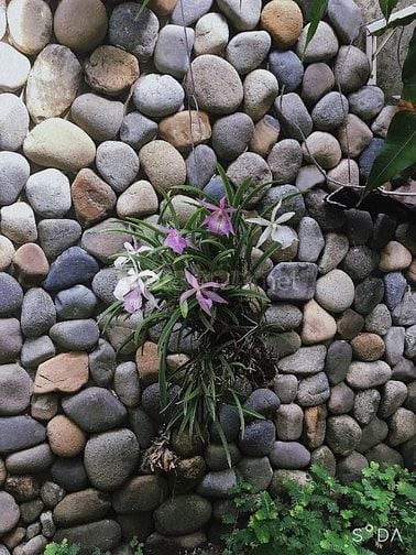 Bán nhà Đường Lê Lợi, Huyện Hóc Môn, DT 6x26m, 3 tầng, 7,5 tỷ