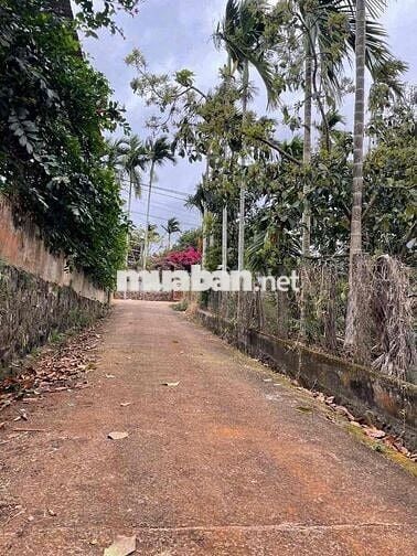 bán đất ngay cầu Eatieu gần sân bay BMT