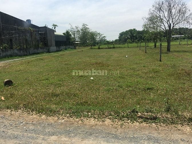 BÁN ĐẤT THỔ CƯ 100%  ẤP LẬP ĐIỀN ( CHÍNH CHỦ)