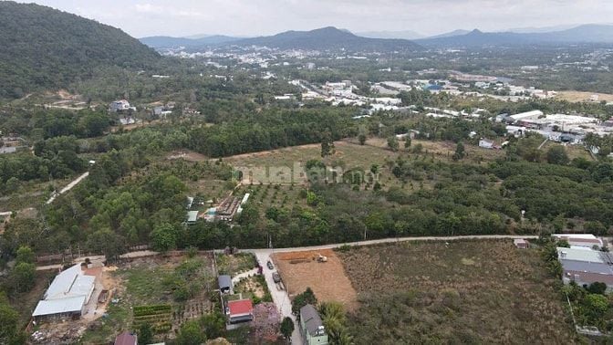 SẴN SỔ FULL THỔ CƯ SUỐI ĐÁ GIÁ CỰC RẺ