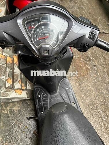 Vison đen biển Hà Nội 29D2