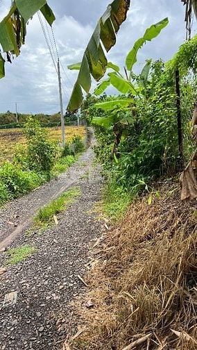 ĐẤT NÔNG NGHIỆP + 10826,8 m2 + LONG KHÁNH. ĐỒNG NAI