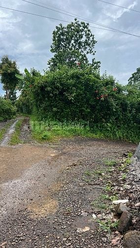 ĐẤT NÔNG NGHIỆP + 10826,8 m2 + LONG KHÁNH. ĐỒNG NAI