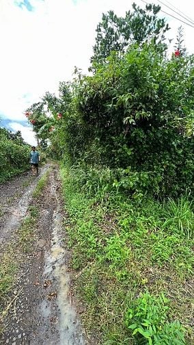 ĐẤT NÔNG NGHIỆP + 10826,8 m2 + LONG KHÁNH. ĐỒNG NAI