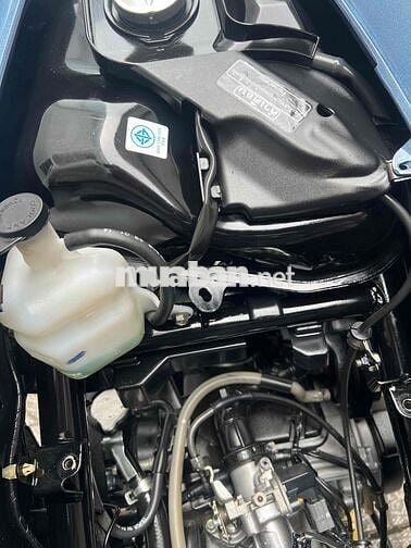 Click Thái 125 cọp