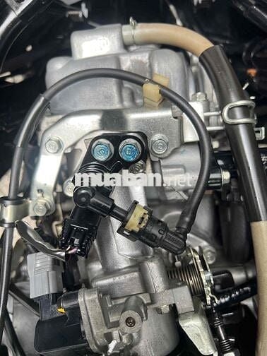 Click Thái 125 cọp