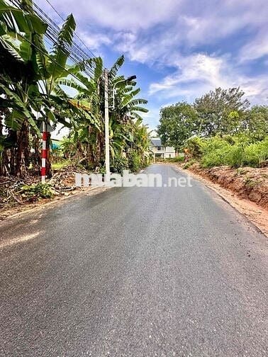 Đất  Tân Định 860Tr khu 4 cách QL13 500m khu dân cư hiện hữu