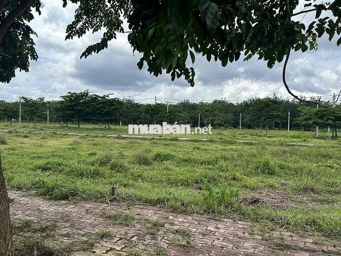 Đất Ngộp Chủ Đầu tư Ra Hàng Giá tốt Từ 2ty7/ nền, Bàu Bàng