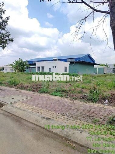 MỞ BÁN KHU DÂN CƯ URBAN DREAM – ĐẤT NỀN VÀNG TẠI BÀU BÀNG, BÌNH DƯƠNG