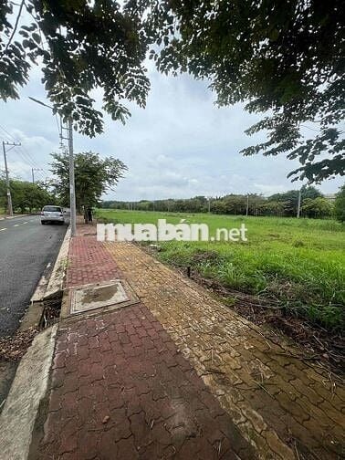Cần bán đất thổ cư mặt tiền Quốc Lộ 13, Bầu Bàng , HCM
