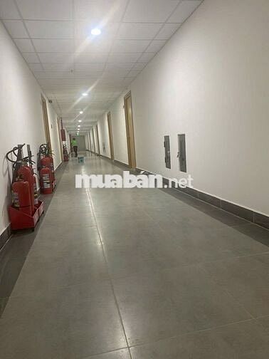 Cho thuê căn hộ chung cư Hồng Loan 5C - 62m2 - chỉ 5 triệu/tháng