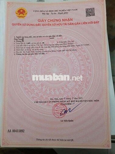 🎉 MỨC GIÁ TỪ 4 TỶ 200 CHO LÔ ĐẤT ẤP 3 – XÃ BÀ ĐIỂM – TP HCM