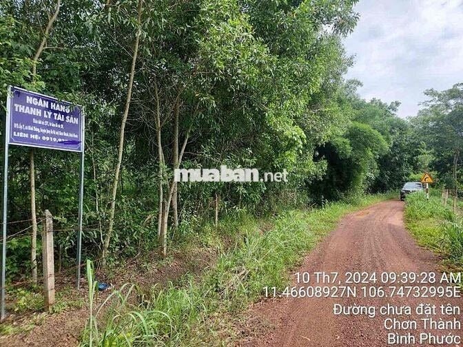 Ngân hàng thanh lý 7136m2 đất Cao su tại Chơn Thành