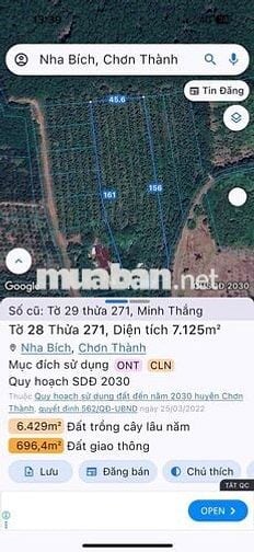 Ngân hàng thanh lý 7136m2 đất Cao su tại Chơn Thành