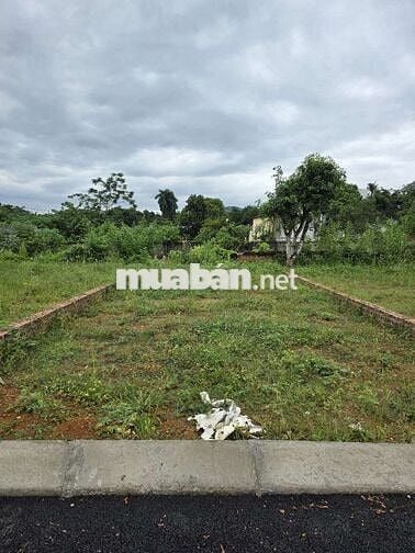 Đất nền hòa ngay tuyến metro gần đh quốc gia
Giá f0 cho nhà đầu tư Đất nền hòa ngay tuyến metro gần đh quốc gia
Giá f0 cho nhà đầu tư