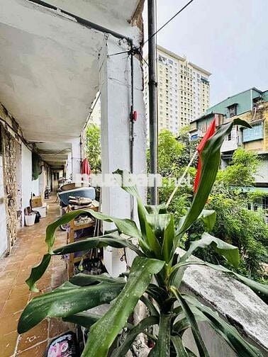 🏠 Tập thể Hòa Bình 7 – Minh Khai, Hai Bà Trưng