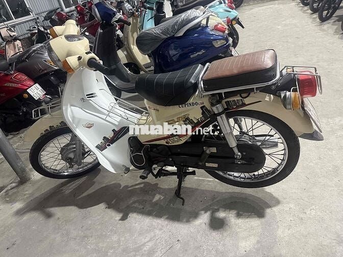 Thanh lý cúp 50cc học sinh không cần bằng lái