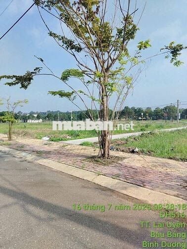 BÁN ĐẤT NỀN LAI UYÊN – BÀU BÀNG, BÌNH DƯƠNG – GIÁ CHỈ 2.8 TỶ/NỀN