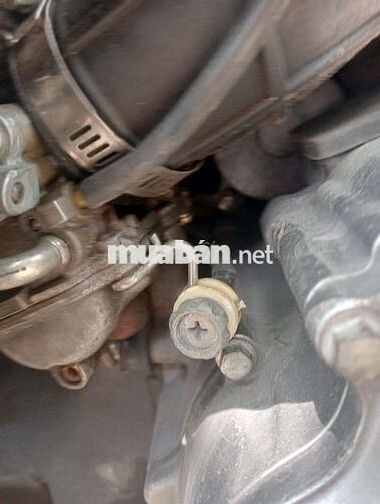 Hayate dời cuối 2011