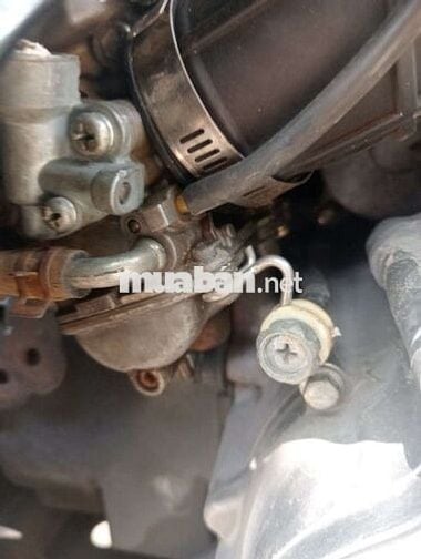 Hayate dời cuối 2011