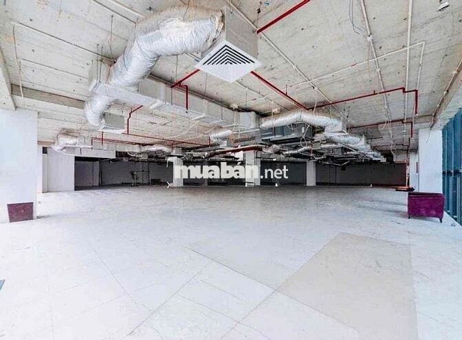 TOÀ BUILDING MẶT TIỀN 16M TRUNG TÂM QUẬN 7 MỚI HOÀN CÔNG