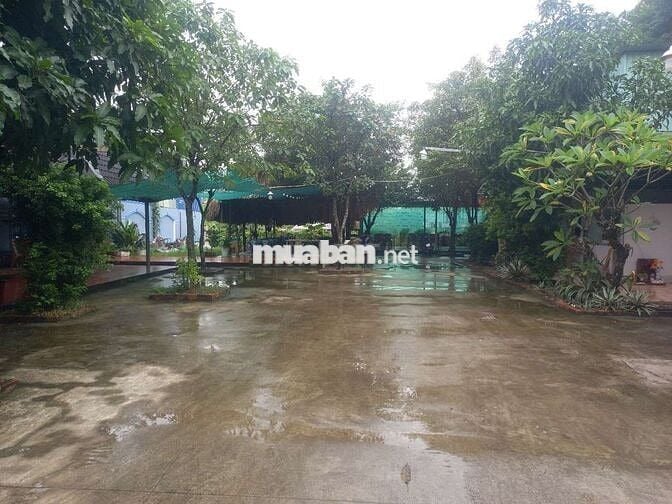 Sang lai mat bang thuan an binh duong, kinh doanh quan nhau hay caphe