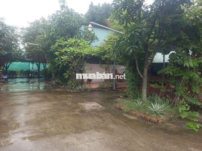 Sang lai mat bang thuan an binh duong, kinh doanh quan nhau hay caphe