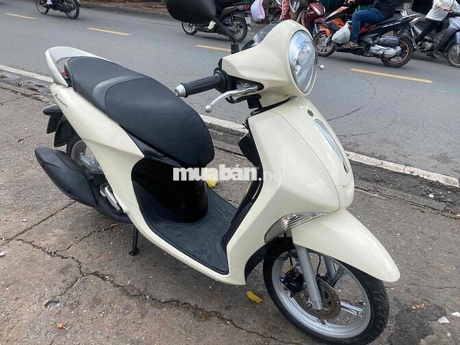 xe Janus Fi mới tinh