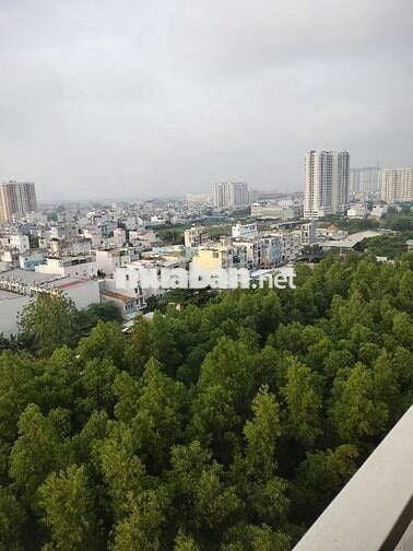 Tìm nữ VP ở ghép chung cư Q8, gần Q6 & BX Miền Tây