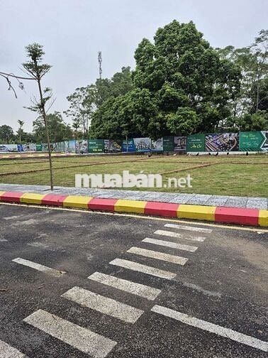 "Cổ Đông bùng nổ, đất 100m² full thổ- giá chỉ bằng 1/5 nội đô Hà Nội!"