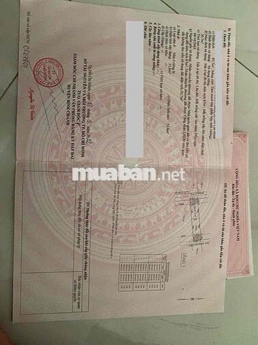 nhà Xã Tân Kiên, Bình Chánh, 4x22, 2lầu, cách VX An Lạc 1km, kẹt tiền