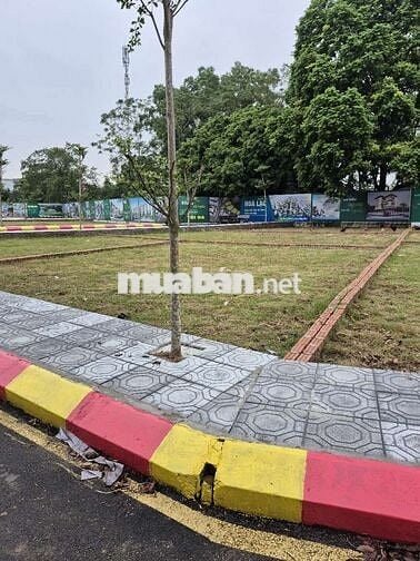 "Cổ Đông bùng nổ, đất 100m² full thổ- giá chỉ bằng 1/5 nội đô Hà Nội!"