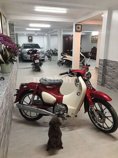 Bán Biệt Thự KDC Cao Lổ P4 Q8, 8x20m, 3.5 tấm, Nội thất cao cấp 