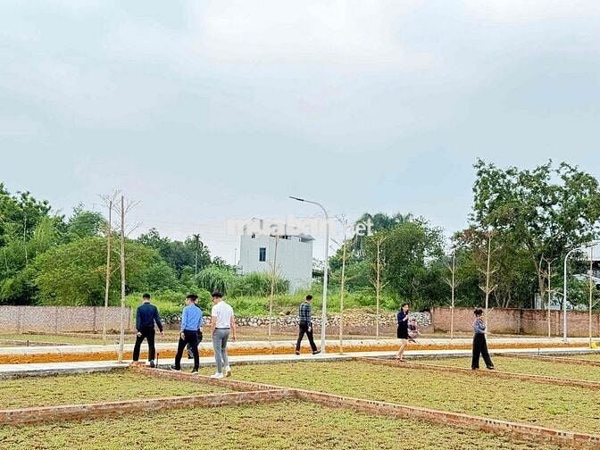 Bán nhanh lô đất vàng tại Vai réo - Phú cát - Hà Nội Bán nhanh lô đất vàng tại Vai réo - Phú cát - Hà Nội