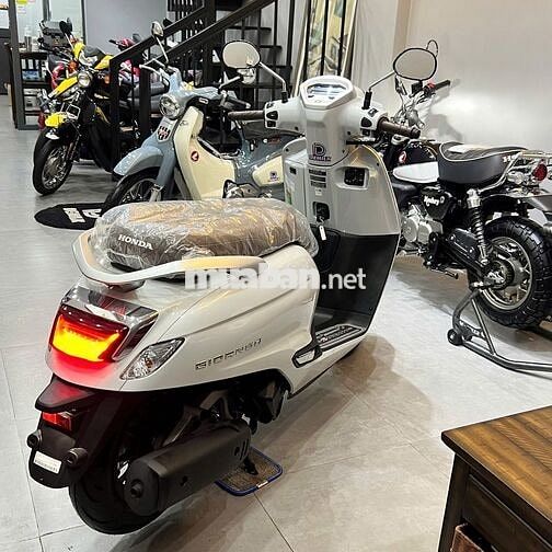 Honda Giorno 125 ABS Thailand 2025 Hải quan