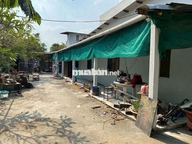 🏠 Nhà vườn Giá Rẻ, 500m2 ♦ 3phòng Tân Hiệp Hóc Môn 🏠