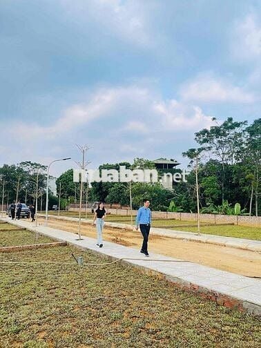 Bán nhanh lô đất vàng tại Vai réo - Phú cát - Hà Nội Bán nhanh lô đất vàng tại Vai réo - Phú cát - Hà Nội