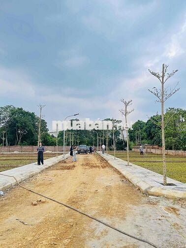Bán nhanh lô đất vàng tại Vai réo - Phú cát - Hà Nội Bán nhanh lô đất vàng tại Vai réo - Phú cát - Hà Nội