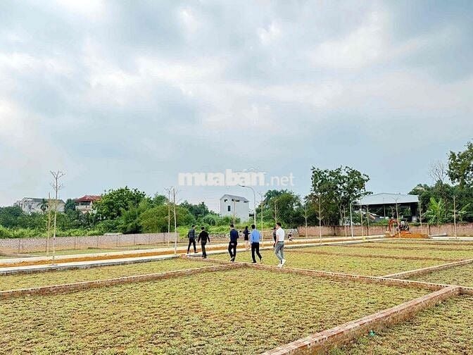 Bán nhanh lô đất vàng tại Vai réo - Phú cát - Hà Nội Bán nhanh lô đất vàng tại Vai réo - Phú cát - Hà Nội