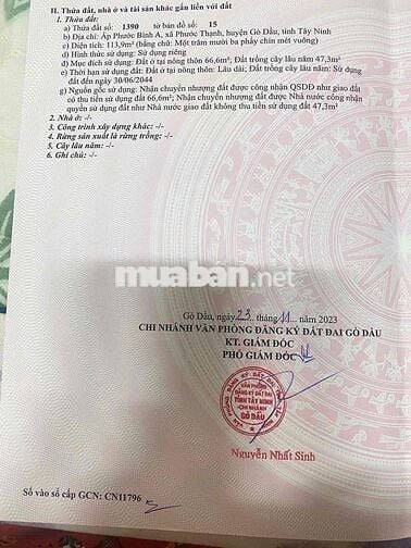 CHÍNH CHỦ CẦN TIỀN BÁN GẤP 5x23Mét SỔ RIÊNG H.GÒ DẦU  TÂY NINH