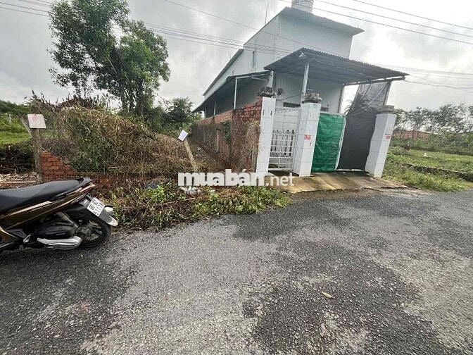 CHÍNH CHỦ CẦN TIỀN BÁN GẤP 5x23Mét SỔ RIÊNG H.GÒ DẦU  TÂY NINH