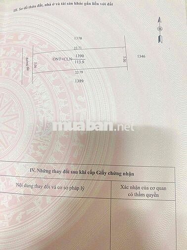 CHÍNH CHỦ CẦN TIỀN BÁN GẤP 5x23Mét SỔ RIÊNG H.GÒ DẦU  TÂY NINH