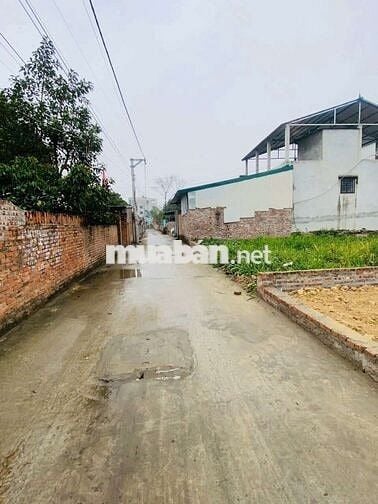 95m Ngay Chợ Thanh Trí -Kim Anh Hà Nội gần đường 1.500ty sắp làm 2026 95m Ngay Chợ Thanh Trí -Kim Anh Hà Nội gần đường 1.500ty sắp làm 2026