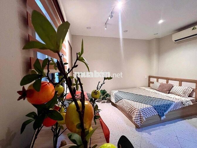 CHDV HSSV NẰM NGAY CÔNG VIÊN VĂN HOÁ GÒ VẤP - ĐẠI HỌC VĂN LANG