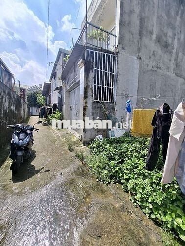 Đất gần trường học cấp 2 Tân Bình phường Tân Bình Tp Dĩ An