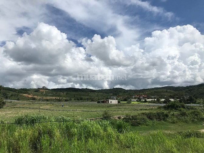 Bán đất sát nách Samten Hills Dalat
